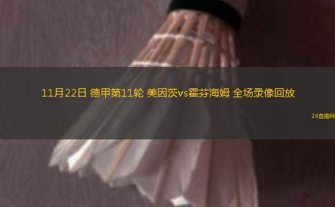 11月22日 德甲第11轮 美因茨vs霍芬海姆 全场录像回放