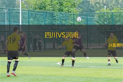 四川VS河南