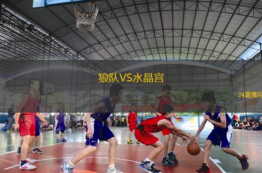 狼队VS水晶宫