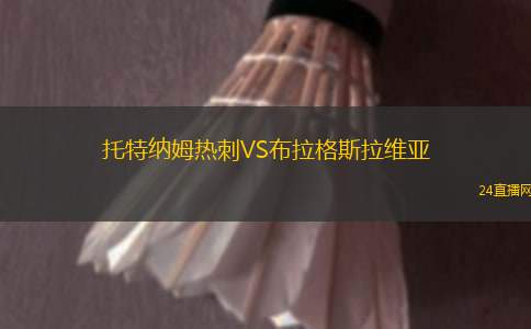 托特纳姆热刺VS布拉格斯拉维亚