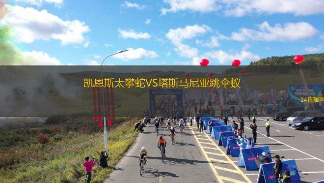 凯恩斯太攀蛇VS塔斯马尼亚跳伞蚁