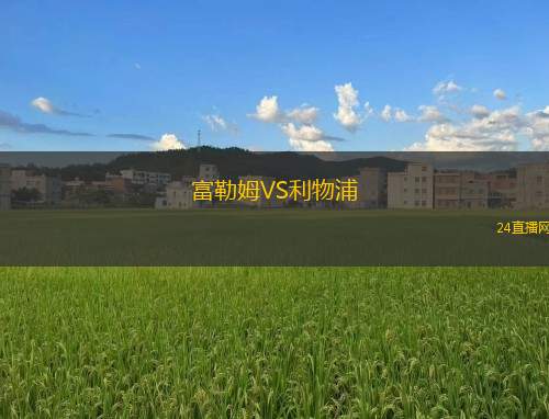 富勒姆VS利物浦
