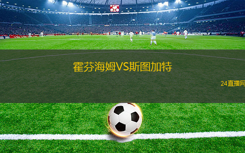 霍芬海姆VS斯图加特