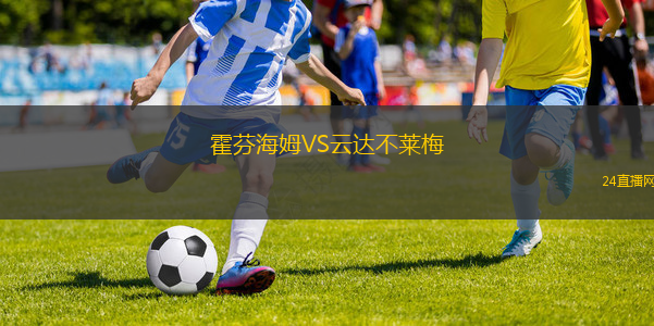 霍芬海姆VS云达不莱梅