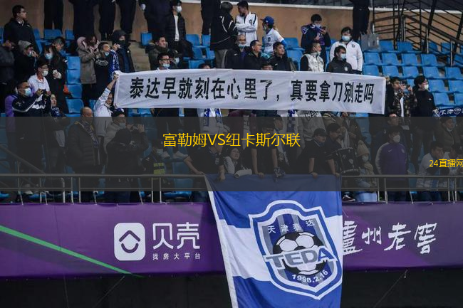 富勒姆VS纽卡斯尔联