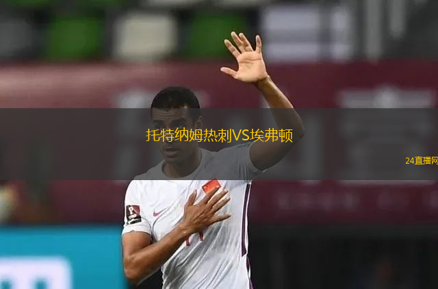 托特纳姆热刺VS埃弗顿